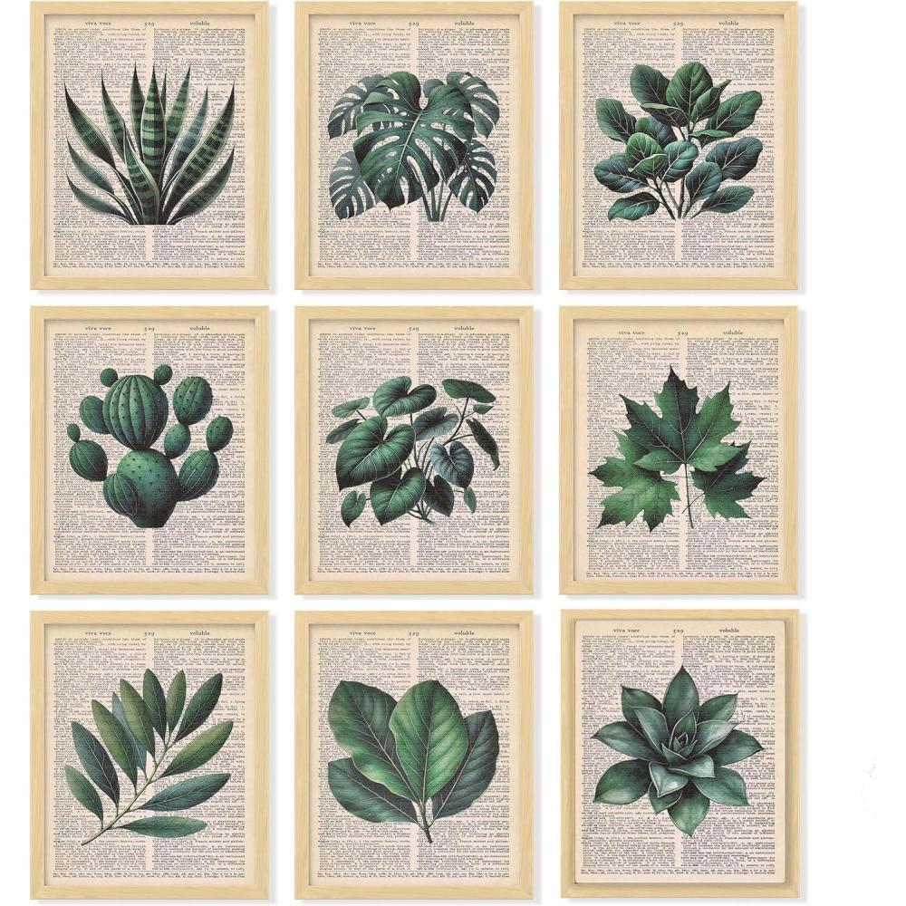 image97 Decor Vintage Botanical Wall Art  Plant Posters For Room Aesthetic Green Plant Pictures Wall Decor Nature Prints Tropical Leaves Artwork For Home Bedroom Office Decorations 8x10 Unframed