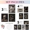 image97 Decor Dark Academia Wall Art  Dark Academia Decor For Bedroom Vintage Gothic Wall Art Prints Witchy Posters Moth Skull Painting Gothic Home Decor Aesthetic Moody Halloween Pictures UnframedVintage Dark