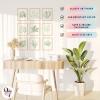 image97 Decor Vintage Botanical Wall Art  Greenery Plant Posters For Room Aesthetic Retro Green Plant Pictures Wall Decor Vintage Botanical Prints For Home Bedroom Office Decorations 8x 10 UnframedBotanical Minimalist 9x8x10