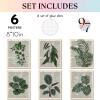 image97 Decor Vintage Botanical Wall Art  Greenery Plant Posters For Room Aesthetic Retro Green Plant Pictures Wall Decor Vintage Botanical Prints For Home Bedroom Office Decorations 8x 10 UnframedBotanical Antique 6x8x10