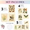 image97 Decor Vintage Botanical Wall Art Decor  Plant Posters For Room Aesthetic Vintage Botanical Prints Nature Wall Decor Floral Pictures Butterfly Bird Art For Home Bedroom Decoration 8x10 UnframedVintage Botanical Gx8x10