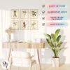 image97 Decor Vintage Botanical Wall Art Decor  Plant Posters For Room Aesthetic Vintage Botanical Prints Nature Wall Decor Floral Pictures Butterfly Bird Art For Home Bedroom Decoration 8x10 UnframedMinimalist Botanical 6x8x10