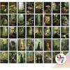 Fairycore 40x4x6