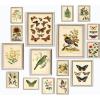 image97 Decor LARGE 11x14 Vintage Botanical Wall Art Decor  Plant Posters For Room Aesthetic Vintage Botanical Prints Nature Floral Pictures Butterfly Bird Art For Home Bedroom Unframed