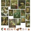 Goblincore Gallery