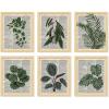 Botanical Antique 6x8x10