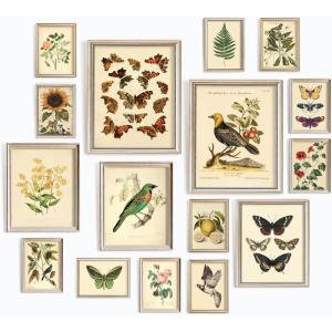 image97 Decor LARGE 11x14 Vintage Botanical Wall Art Decor  Plant Posters For Room Aesthetic Vintage Botanical Prints Nature Floral Pictures Butterfly Bird Art For Home Bedroom Unframed
