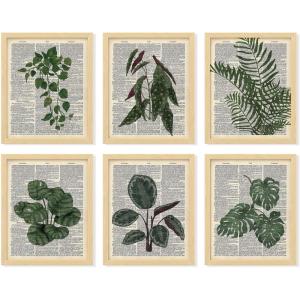 image97 Decor Vintage Botanical Wall Art  Greenery Plant Posters For Room Aesthetic Retro Green Plant Pictures Wall Decor Vintage Botanical Prints For Home Bedroom Office Decorations 8x 10 UnframedBotanical Antique 6x8x10
