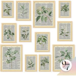 image97 Decor Vintage Botanical Wall Art  Greenery Plant Posters For Room Aesthetic Retro Green Plant Pictures Wall Decor Vintage Botanical Prints For Home Bedroom Office Decorations 8x 10 UnframedBotanical Retro Gx8x10