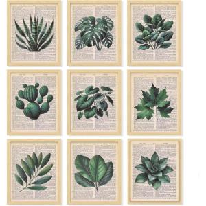 image97 Decor Vintage Botanical Wall Art  Plant Posters For Room Aesthetic Green Plant Pictures Wall Decor Nature Prints Tropical Leaves Artwork For Home Bedroom Office Decorations 8x10 Unframed
