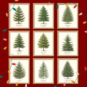 image97 Decor Vintage Christmas Prints Unframed  Moody Christmas Pictures Wall Decor Aesthetic Holiday Poster Winter Art Reindeer Pine Tree Photo Santa Artwork Retro Xmas Painting For Home BedroomPine Tree