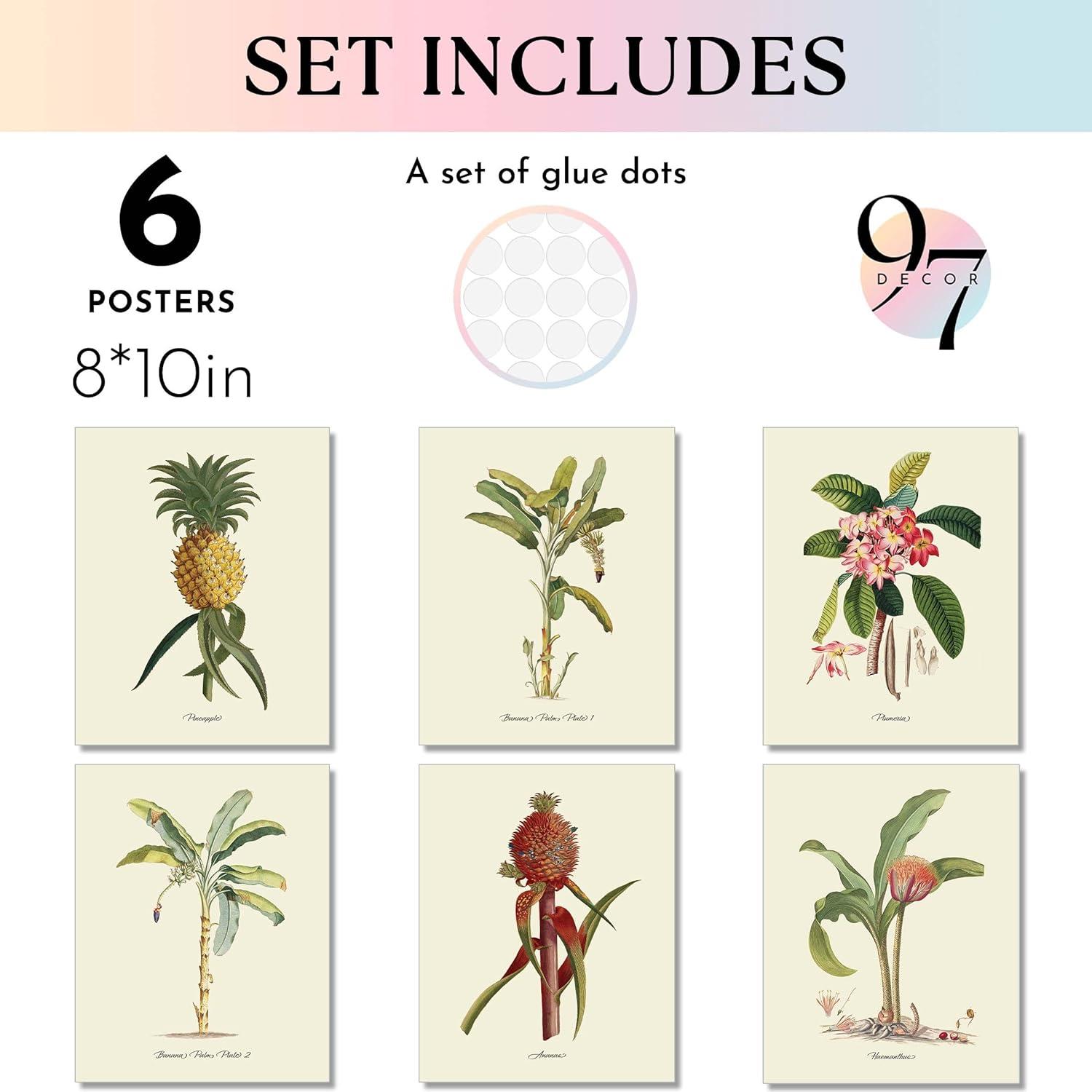 image97 Decor FRAMED Vintage Botanical Prints Wall Art  Botanical Plant Poster Butterfly Pictures Bird Art Sunflower Fern Prints Flower Botanical Painting for Home Bedroom Decorations BEIGE FRAMEMinimalist Botanical 6x8x10
