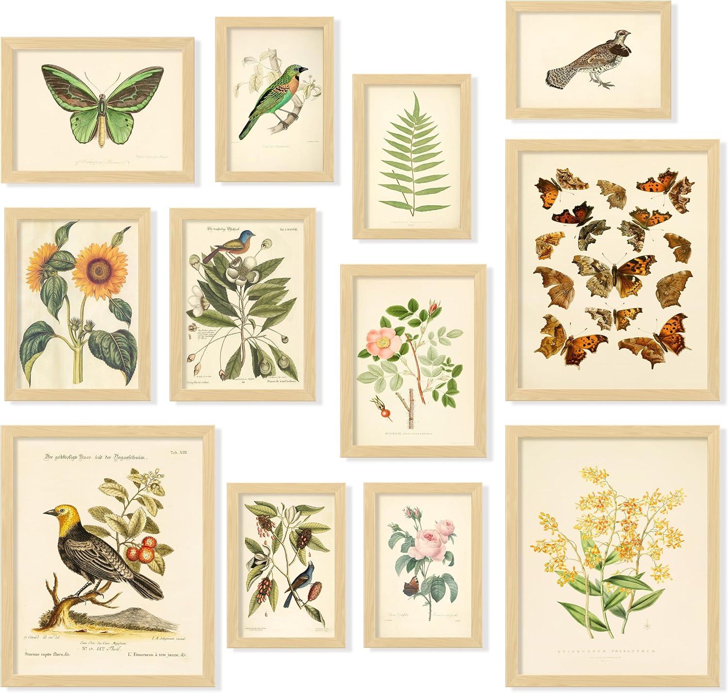 image97 Decor FRAMED Vintage Botanical Prints Wall Art  Botanical Plant Poster Butterfly Pictures Bird Art Sunflower Fern Prints Flower Botanical Painting for Home Bedroom Decorations BEIGE FRAMEVintage Botanical Gx8x10
