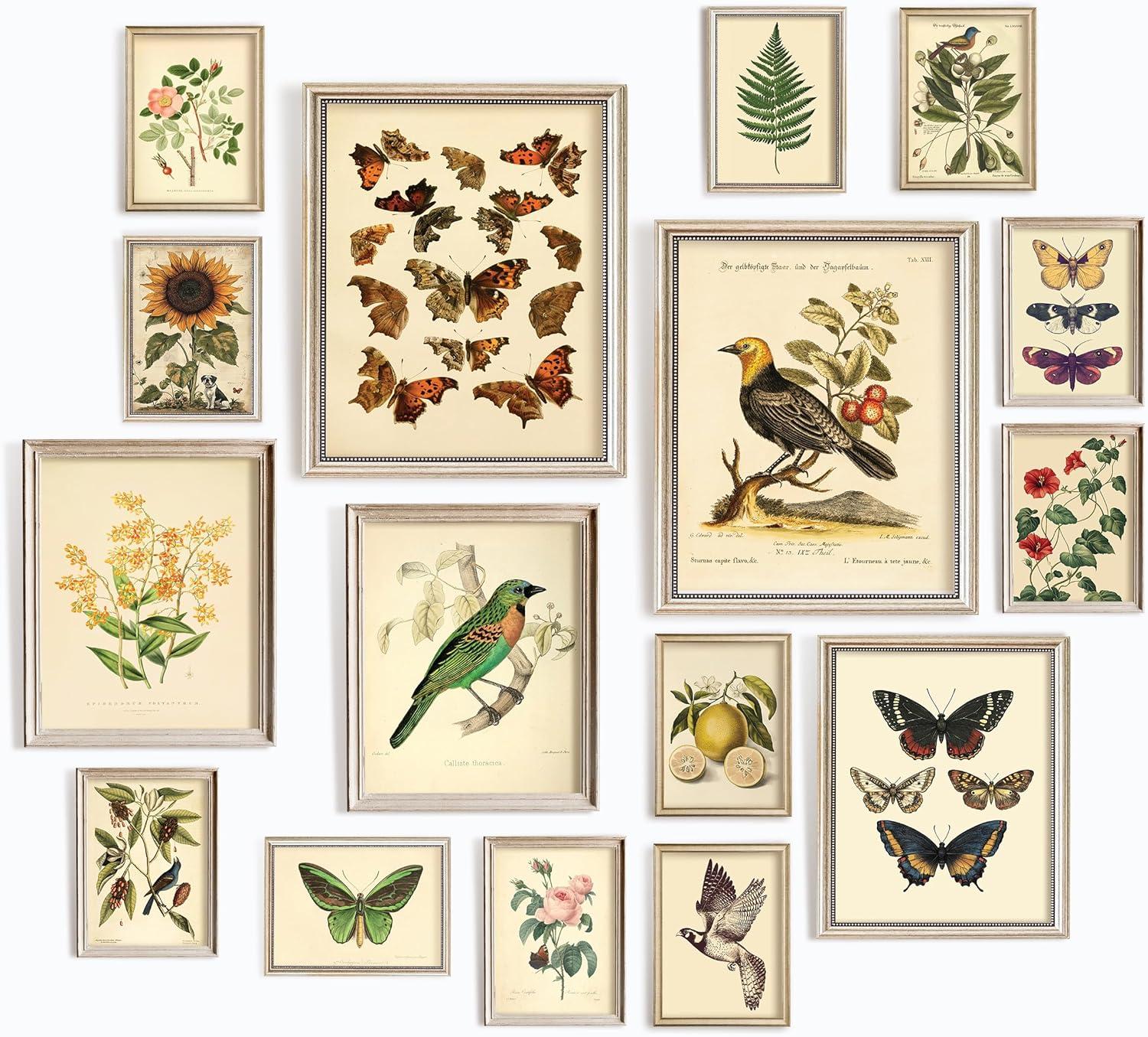 image97 Decor FRAMED Vintage Botanical Wall Art Decor  Large Plant Posters For Room Aesthetic Vintage Botanical Prints Nature Wall Decor Floral Pictures Butterfly Bird Art For Home Bedroom BEIGE FRAMEBotanical