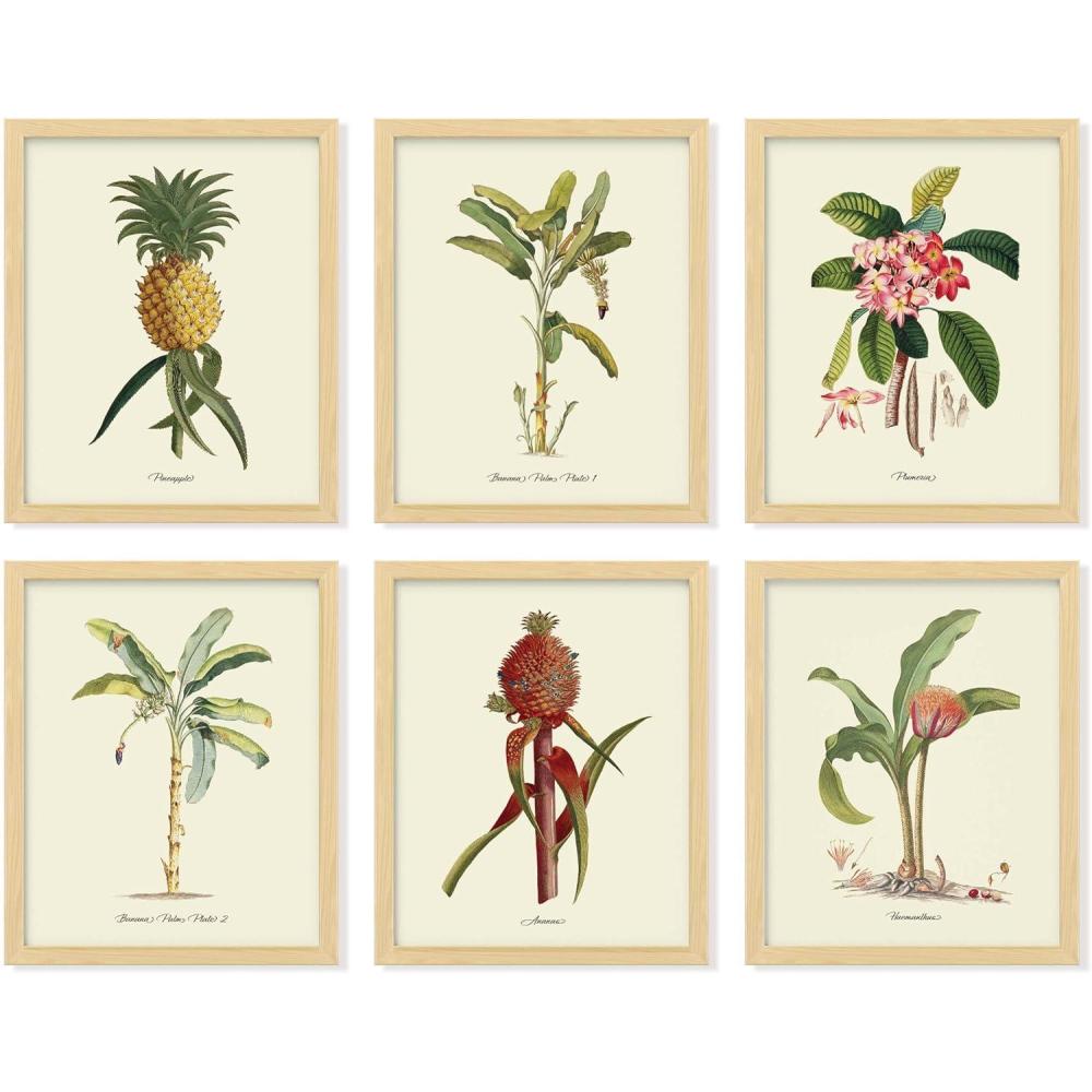 image97 Decor FRAMED Vintage Botanical Prints Wall Art  Botanical Plant Poster Butterfly Pictures Bird Art Sunflower Fern Prints Flower Botanical Painting for Home Bedroom Decorations BEIGE FRAMEMinimalist Botanical 6x8x10