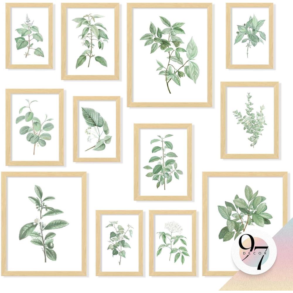 image97 Decor FRAMED Vintage Botanical Prints Wall Art  Botanical Plant Poster Butterfly Pictures Bird Art Sunflower Fern Prints Flower Botanical Painting for Home Bedroom Decorations BEIGE FRAMEFresh Botanical Gx8x10