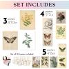 image97 Decor FRAMED Cottagecore Wall Decor  Vintage Fairycore Decorations Boho Fairy Room Fantasy Prints Nature Earthy Posters For Room Aesthetic Mushroom Cottage Core Wall Art For Dorm Bedroom BEIGE FRAMECottagecore