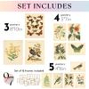 image97 Decor FRAMED Vintage Botanical Prints Wall Art  Botanical Plant Poster Butterfly Pictures Bird Art Sunflower Fern Prints Flower Botanical Painting for Home Bedroom Decorations BEIGE FRAMEVintage Botanical Gx8x10