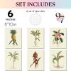 image97 Decor FRAMED Vintage Botanical Prints Wall Art  Botanical Plant Poster Butterfly Pictures Bird Art Sunflower Fern Prints Flower Botanical Painting for Home Bedroom Decorations BEIGE FRAMEMinimalist Botanical 6x8x10
