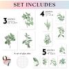 image97 Decor FRAMED Vintage Botanical Prints Wall Art  Botanical Plant Poster Butterfly Pictures Bird Art Sunflower Fern Prints Flower Botanical Painting for Home Bedroom Decorations BEIGE FRAMEFresh Botanical Gx8x10