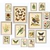 image97 Decor FRAMED Vintage Botanical Wall Art Decor  Large Plant Posters For Room Aesthetic Vintage Botanical Prints Nature Wall Decor Floral Pictures Butterfly Bird Art For Home Bedroom BEIGE FRAMEBotanical