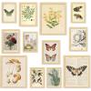 image97 Decor FRAMED Cottagecore Wall Decor  Vintage Fairycore Decorations Boho Fairy Room Fantasy Prints Nature Earthy Posters For Room Aesthetic Mushroom Cottage Core Wall Art For Dorm Bedroom BEIGE FRAMECottagecore