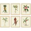 image97 Decor FRAMED Vintage Botanical Prints Wall Art  Botanical Plant Poster Butterfly Pictures Bird Art Sunflower Fern Prints Flower Botanical Painting for Home Bedroom Decorations BEIGE FRAMEMinimalist Botanical 6x8x10