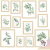 image97 Decor FRAMED Vintage Botanical Prints Wall Art  Botanical Plant Poster Butterfly Pictures Bird Art Sunflower Fern Prints Flower Botanical Painting for Home Bedroom Decorations BEIGE FRAMEFresh Botanical Gx8x10