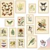 image97 Decor FRAMED Vintage Botanical Wall Art Decor  Large Plant Posters For Room Aesthetic Vintage Botanical Prints Nature Wall Decor Floral Pictures Butterfly Bird Art For Home Bedroom BEIGE FRAMEBotanical