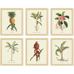 image97 Decor FRAMED Vintage Botanical Prints Wall Art  Botanical Plant Poster Butterfly Pictures Bird Art Sunflower Fern Prints Flower Botanical Painting for Home Bedroom Decorations BEIGE FRAMEMinimalist Botanical 6x8x10