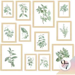 image97 Decor FRAMED Vintage Botanical Prints Wall Art  Botanical Plant Poster Butterfly Pictures Bird Art Sunflower Fern Prints Flower Botanical Painting for Home Bedroom Decorations BEIGE FRAMEFresh Botanical Gx8x10