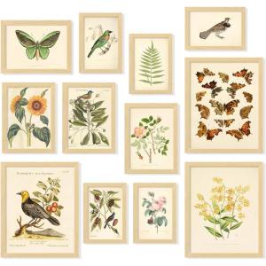 image97 Decor FRAMED Vintage Botanical Prints Wall Art  Botanical Plant Poster Butterfly Pictures Bird Art Sunflower Fern Prints Flower Botanical Painting for Home Bedroom Decorations BEIGE FRAMEVintage Botanical Gx8x10