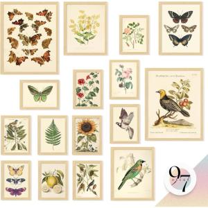 image97 Decor FRAMED Vintage Botanical Wall Art Decor  Large Plant Posters For Room Aesthetic Vintage Botanical Prints Nature Wall Decor Floral Pictures Butterfly Bird Art For Home Bedroom BEIGE FRAMEBotanical
