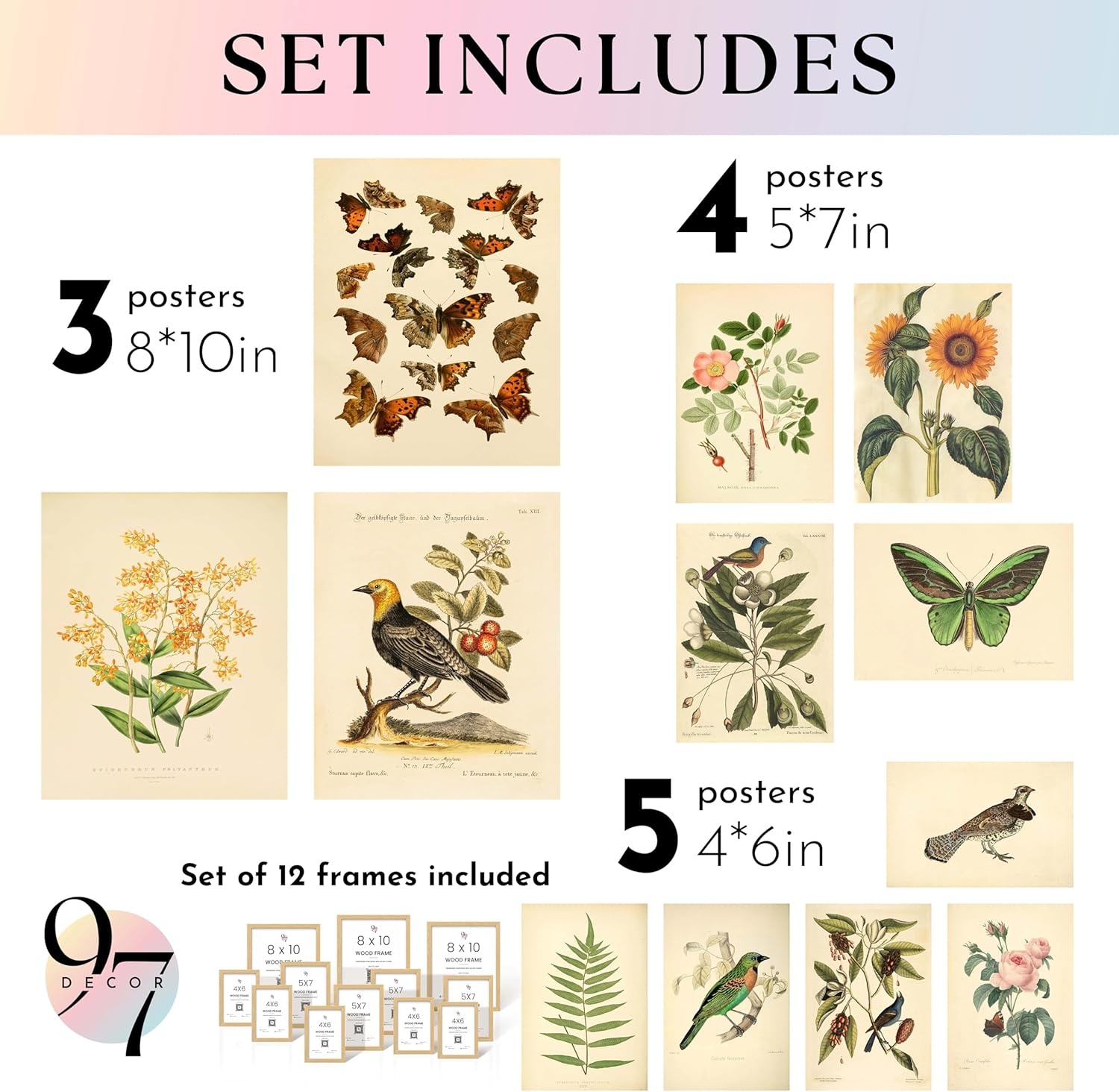 image:image97 Decor Cottagecore Wall Art Botanical Prints 12 Pcs Brown Frame  Vintage botanical and mushroom designs 3 sizes 8x10 5x7 4x6 wood frames bedroom dorm gallery wallVintage Botanical Gx8x10