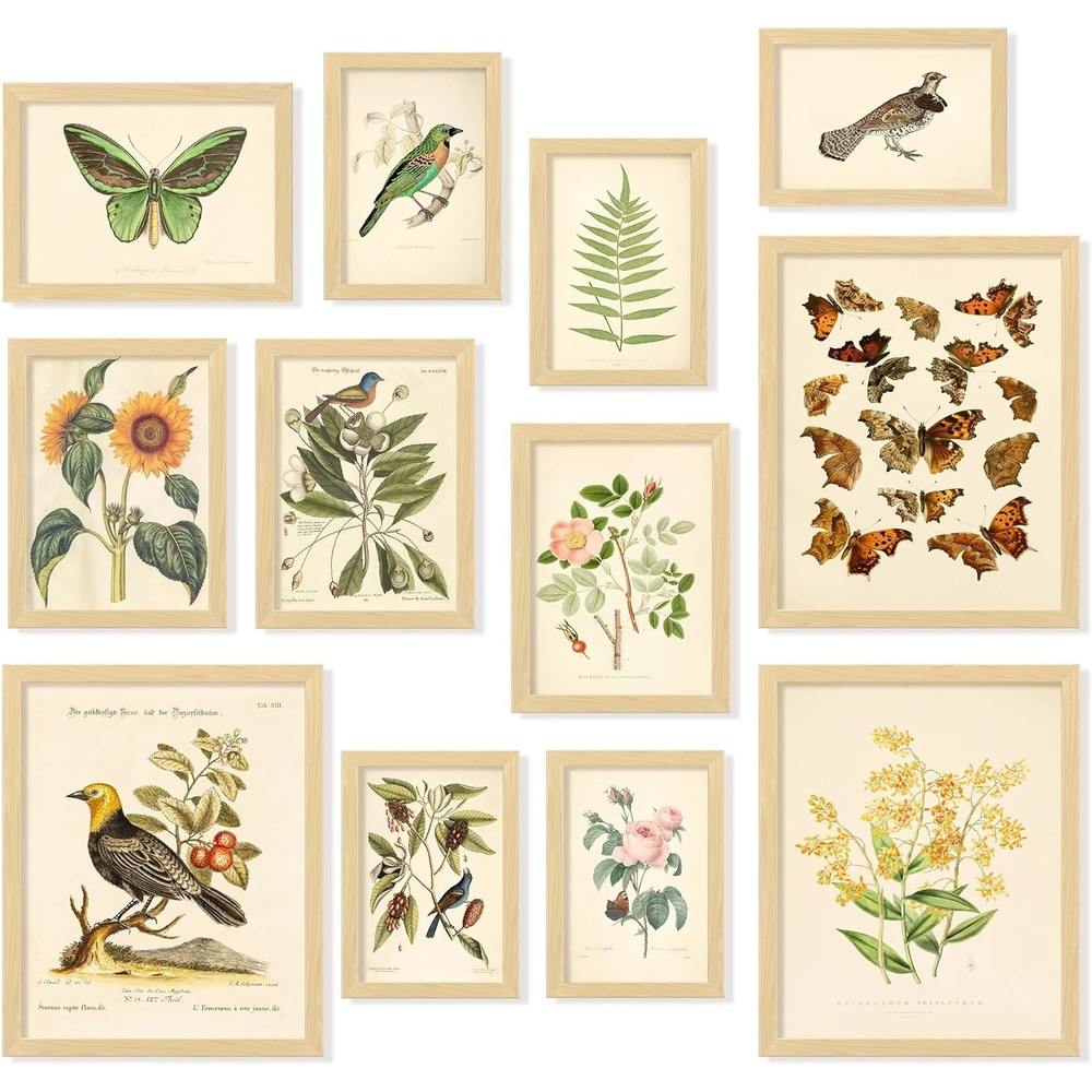 image:image97 Decor Cottagecore Wall Art Botanical Prints 12 Pcs Brown Frame  Vintage botanical and mushroom designs 3 sizes 8x10 5x7 4x6 wood frames bedroom dorm gallery wallVintage Botanical Gx8x10