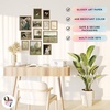 image:image97 Decor Colorful Eclectic Wall Art 12 Framed Prints Black Frame  3 pcs 8x10 4 pcs 5x7 5 pcs 4x6 pop art and dopamine decor gallery wall for dorm living room bedroomSpring Farmhouse