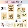 image:image97 Decor Cottagecore Wall Art Botanical Prints 12 Pcs Brown Frame  Vintage botanical and mushroom designs 3 sizes 8x10 5x7 4x6 wood frames bedroom dorm gallery wallVintage Botanical Gx8x10