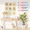 image:image97 Decor Cottagecore Wall Art Botanical Prints 12 Pcs Brown Frame  Vintage botanical and mushroom designs 3 sizes 8x10 5x7 4x6 wood frames bedroom dorm gallery wallBotanical 9x8x10
