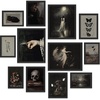image:image97 Decor Cottagecore Wall Art Botanical Prints 12 Pcs Brown Frame  Vintage botanical and mushroom designs 3 sizes 8x10 5x7 4x6 wood frames bedroom dorm gallery wallDark Academia Fantasy