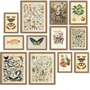 image:image97 Decor Cottagecore Wall Art Botanical Prints 12 Pcs Brown Frame  Vintage botanical and mushroom designs 3 sizes 8x10 5x7 4x6 wood frames bedroom dorm gallery wallBotanical