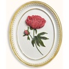 Peony Sculpture