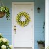 imagePinkpum 22 Inch Yelllow Daisy Eucalyptus Wreath Artificial Spring Summer Floral Wreath for Front Door Farmhouse Wedding Wall Window DecorYellow