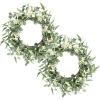 image:imagePinkpum 2 Pack Wreaths for Front Door 20 Christmas Eucalyptus Wreath Spring Summer Door Green Wreath for Home Porch Window Wall Farmhouse Home Decor Indoor Outdoor Summer All Seasons