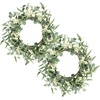 image:imagePinkpum 20 Eucalyptus Wreath for Front Door Porch Window  Green Decor for Home Farmhouse  Spring Summer Fall All Seasons Fluffy VersionWhite