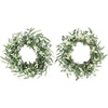 image:imagePinkpum 20 Eucalyptus Wreath for Front Door Porch Window  Green Decor for Home Farmhouse  Spring Summer Fall All Seasons