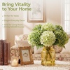 image:imagePinkpum 6 Pcs 20in Hydrangea Artificial Flowers Lifelike amp Real Touch Hydrangea Flowers for Home Decor Party Arrangements Wedding Bouquets Centerpieces Green Set