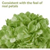 image:imagePinkpum 6 Pcs 20in Hydrangea Artificial Flowers Lifelike amp Real Touch Hydrangea Flowers for Home Decor Party Arrangements Wedding Bouquets Centerpieces Green Set
