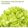 image:imagePinkpum 6 Pcs 20in Hydrangea Artificial Flowers Lifelike amp Real Touch Hydrangea Flowers for Home Decor Party Arrangements Wedding Bouquets Centerpieces Green amp White Set