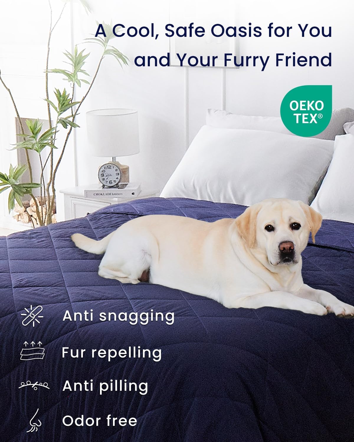 ZonLi Cooling Blankets for Hot SleepersAllSeason Lightweight Blanket for Night SweatsCool Blanket Absorbs Body Heat to Keep CoolQMax 045 Summer Blanket for Bed Sofa CouchDark Purple 50quotx60quot