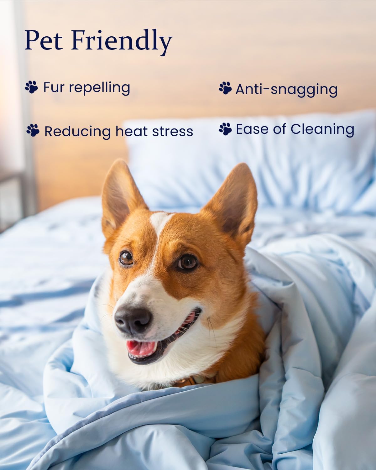 ZonLi ZMagic Cooling Comforter Hypoallergenic Bamboo Viscose Lightweight Breathable Soft Summer Blanket for Hot Sleepers Quickly Cooling Quilt for Night Sweats Iceberg Green Twin 60quotx80quot04  Skyway Blue